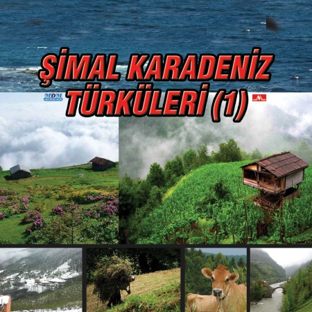 Çeşitli Sanatçılar: Şimal Karadeniz Türküleri (1) - CD