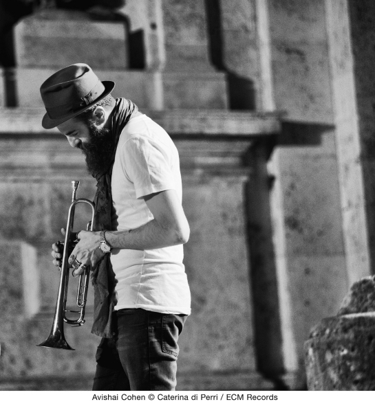 Avishai Cohen - Into The Silence