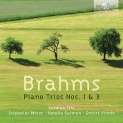 Gutman Trio: Brahms: Piano Trios Nos. 1 & 3 - CD