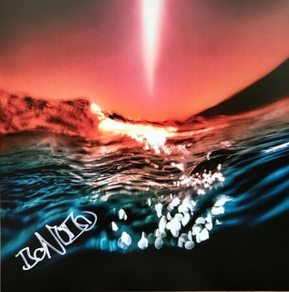 Bonobo: Fragments (Limited Indie Edition - Red Marbled Vinyl) - Plak