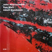 John Abercrombie, Dan Wall, Adam Nussbaum: While We're Young - CD