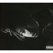 Little Simz: Grey Area - CD