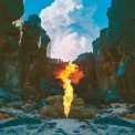 Bonobo: Migration - Plak