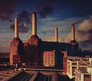 Pink Floyd: Animals - Plak