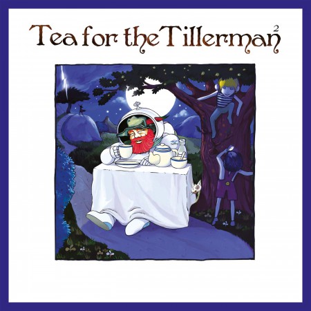 Cat Stevens: Tea For The Tillerman 2 - Plak