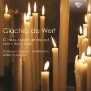 Collegium Musicum Amsterdam, Anthony Zielhorst: De Wert: Motets, Book I (1566) - CD