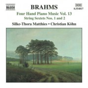 Christian Kohn, Silke-Thora Matthies: Brahms: Four-Hand Piano Music, Vol. 13 - CD