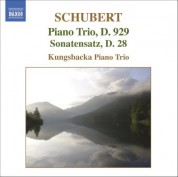 Schubert: Piano Trio No. 2 in E Flat Major - Sonatensatz - CD