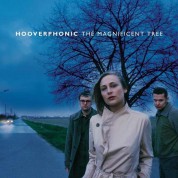 Hooverphonic: Magnificent Tree - Plak