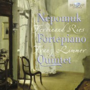Nepomuk Fortepiano Quintet: Ries, Limmer: Nepomuk Forte Quintet - CD