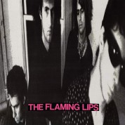 The Flaming Lips: In A Priest Driven Ambulance - Plak