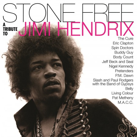 Çeşitli Sanatçılar: Stone Free (Jimi Hendrix Tribute) - Plak