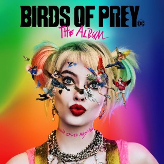 Çeşitli Sanatçılar: Birds Of Prey - Plak