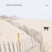 John Scofield - Plak