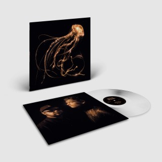 Royal Blood: Back To The Water Below (Limited Indie Edition) (Clear Vinyl) - Plak