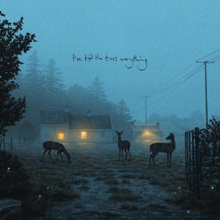 Dermot Kennedy: I've Told The Trees Everything - Plak