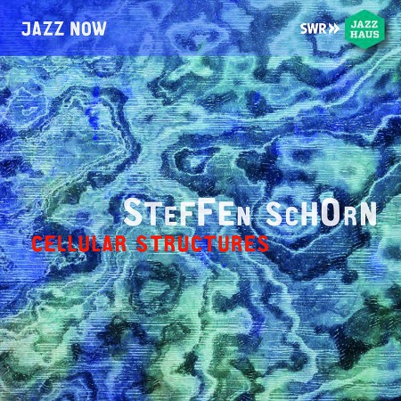 Steffen Schorn: Cellular Structures - CD