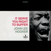 John Lee Hooker: It Serve You Right To Suffer - Plak