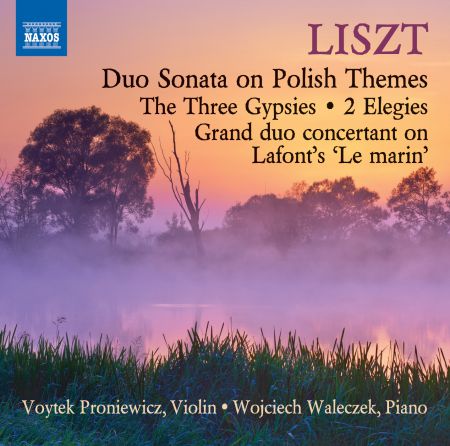 Voytek Proniewicz, Wojciech Waleczek: Liszt: Works for Violin & Piano - CD