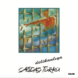 Çağdaş Türkü: Delikanlıya - Plak