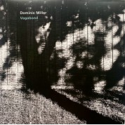 Dominic Miller: Vagabond - CD