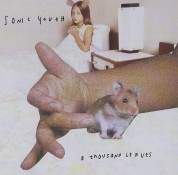 Sonic Youth: A Thousand Leaves - CD