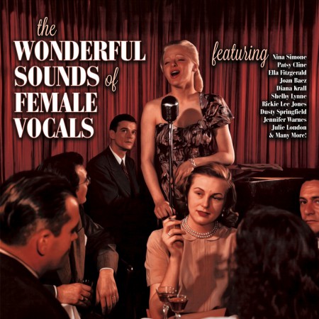 Çeşitli Sanatçılar: The Wonderful Sounds Of Female Vocals - Plak