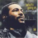 Marvin Gaye: What's Going On - CD