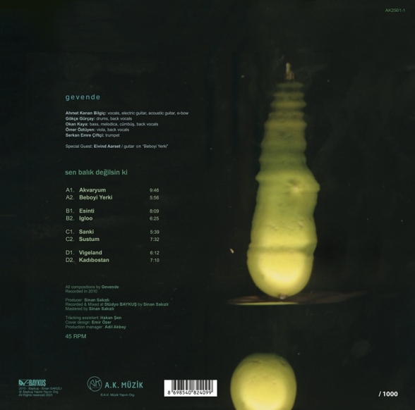 Gevende: Sen Balık Değilsin ki (45 RPM) - Plak Foto #2
