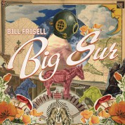 Bill Frisell: Big Sur - Plak