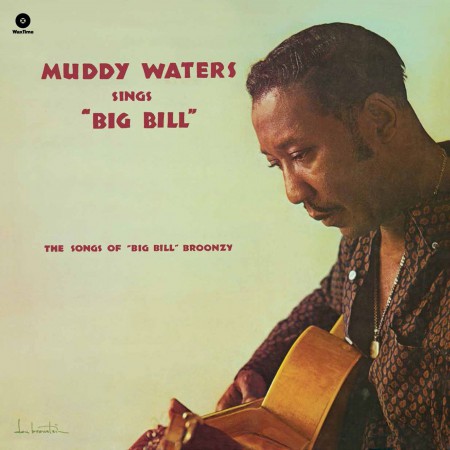 Muddy Waters: Sings Big Bill Broonzy - Plak
