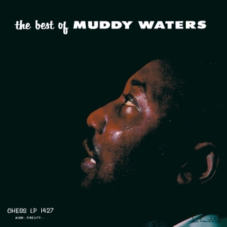 Muddy Waters: The Best Of Muddy Waters - Plak