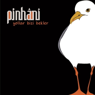 Pinhani: Yollar Bizi Bekler - CD