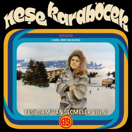 Neşe Karaböcek: Yeşilçam'dan Seçmeler Vol. 2 - Plak