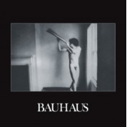Bauhaus: In The Flat Field (Remastered - Colored Vinyl) - Plak