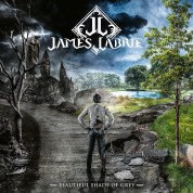 James LaBrie: Beautiful Shade Of Grey - Plak