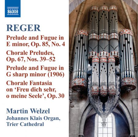Martin Welzel: Reger: Organ Works, Vol. 10 - CD