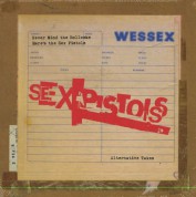 Sex Pistols: Never Mind The Bollocks - Single Plak