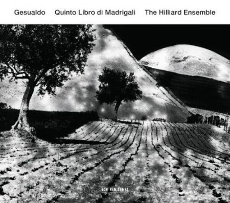 The Hilliard Ensemble: Gesualdo: Quinto Libro Di Madrigali - CD