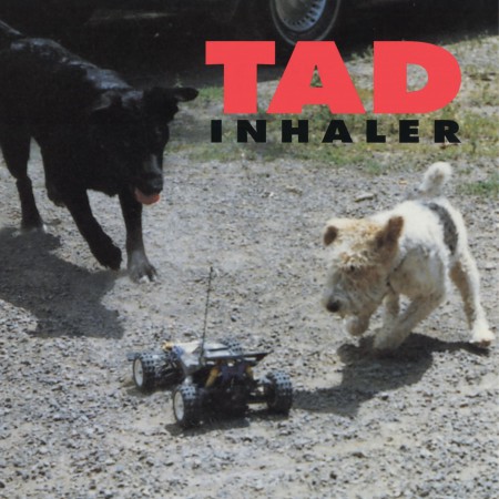 Tad: Inhaler - Plak