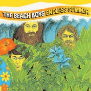 The Beach Boys: Endless Summer - Plak