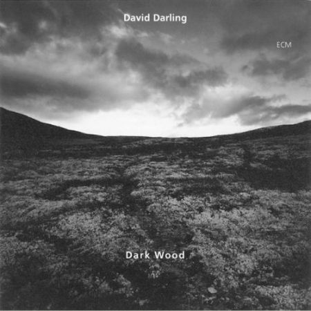 David Darling: Dark Wood - CD