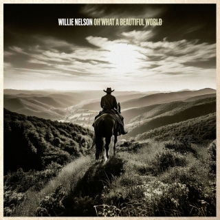 Willie Nelson: Oh What A Beautiful World - CD