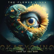 The Flower Kings: Look At You Now (Black Vinyl) - Plak