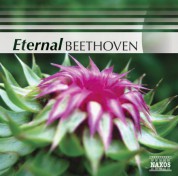 Çeşitli Sanatçılar: Beethoven (Eternal) - CD