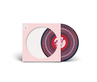 Take That: Everything Changes (30th Anniversary Zoetrope Picture Disc) - Plak