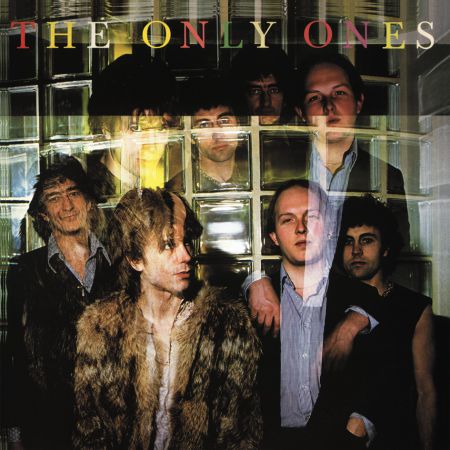 The Only Ones - Plak