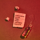 Lin Pesto: Son (Limited Edition - Maskeli Versiyon) - Plak Foto #2