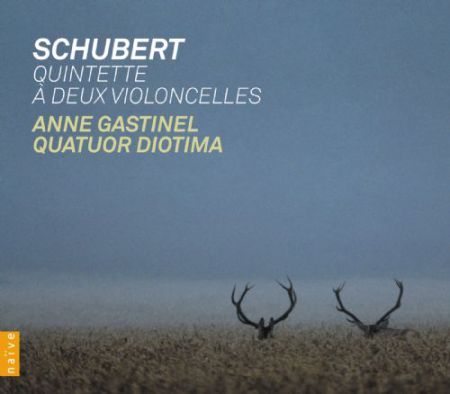 Anne Gastinel, Quatuor Diotima: Schubert: String Quintet - CD
