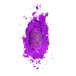 The Pinkprint (10th Anniversary Edition) - Plak